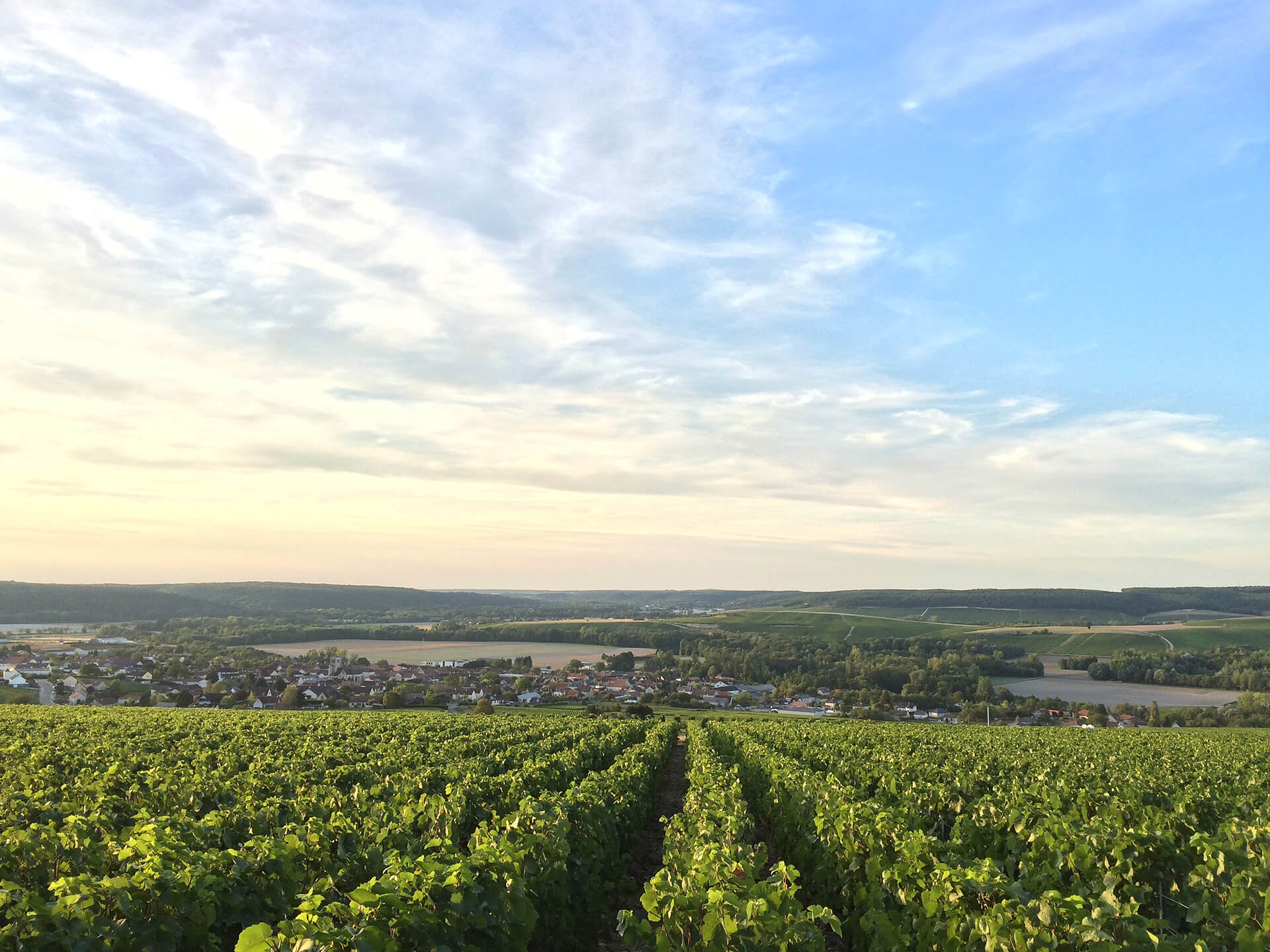 View to village "Celles sur Ource" from vineyard